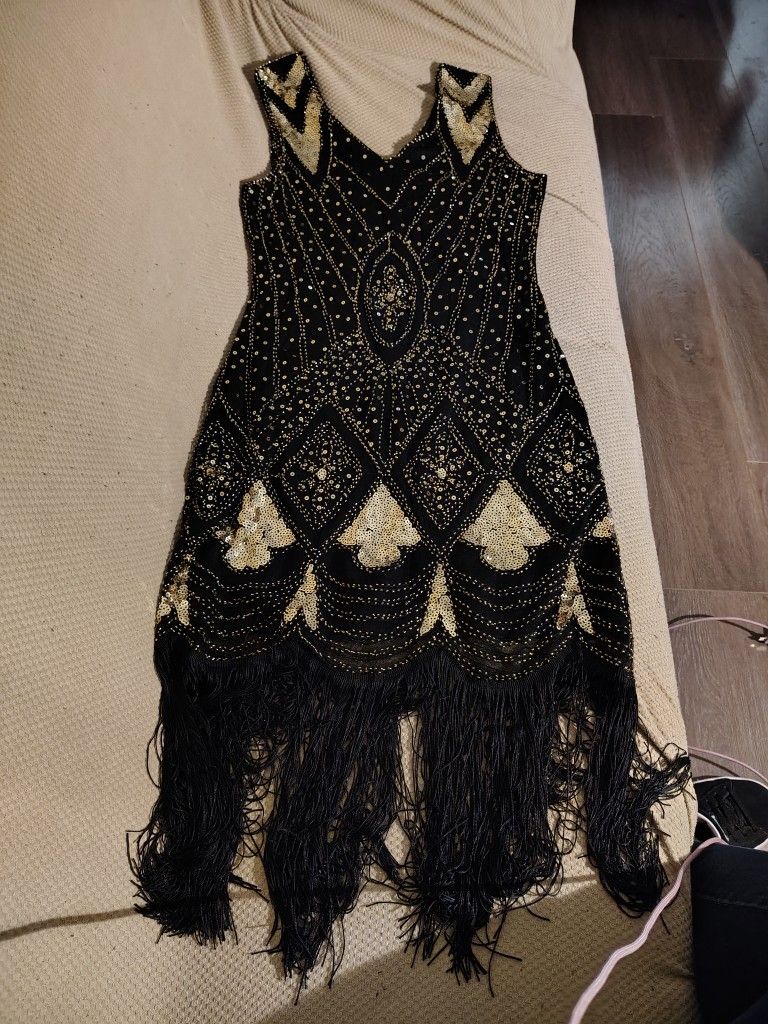 The Flappers Dress Costume 