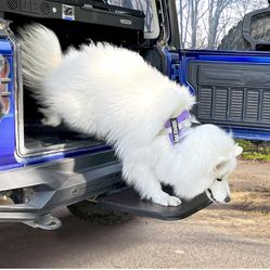 Petbobi Dog Steps for Car