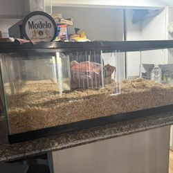 2    20 Gallon Tanks