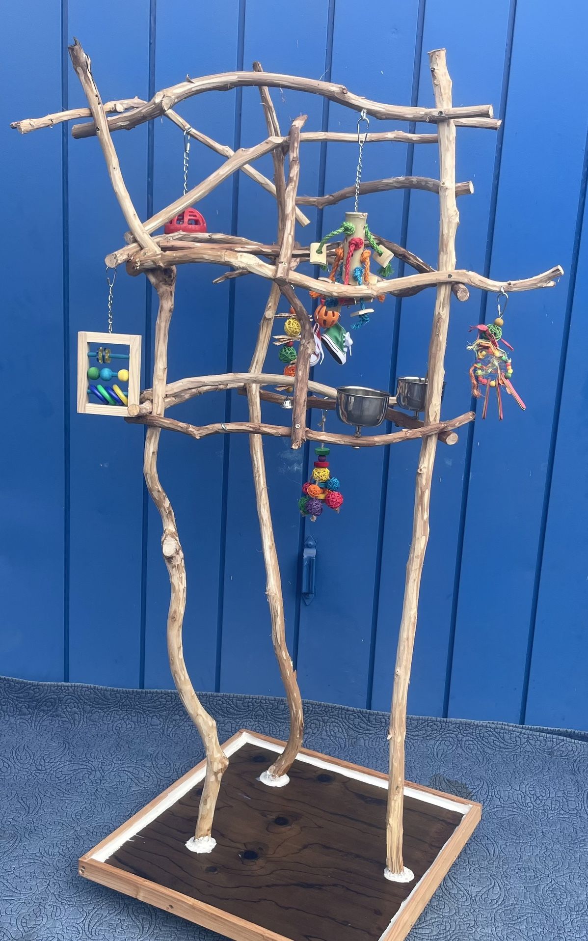 Funky N Curvy African Grey - Amazon Parrot Perch Tree … The Fun Spot For Your Bird ! 👍🏼
