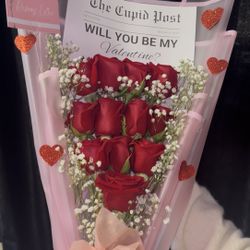 Will You Be My Valentine 