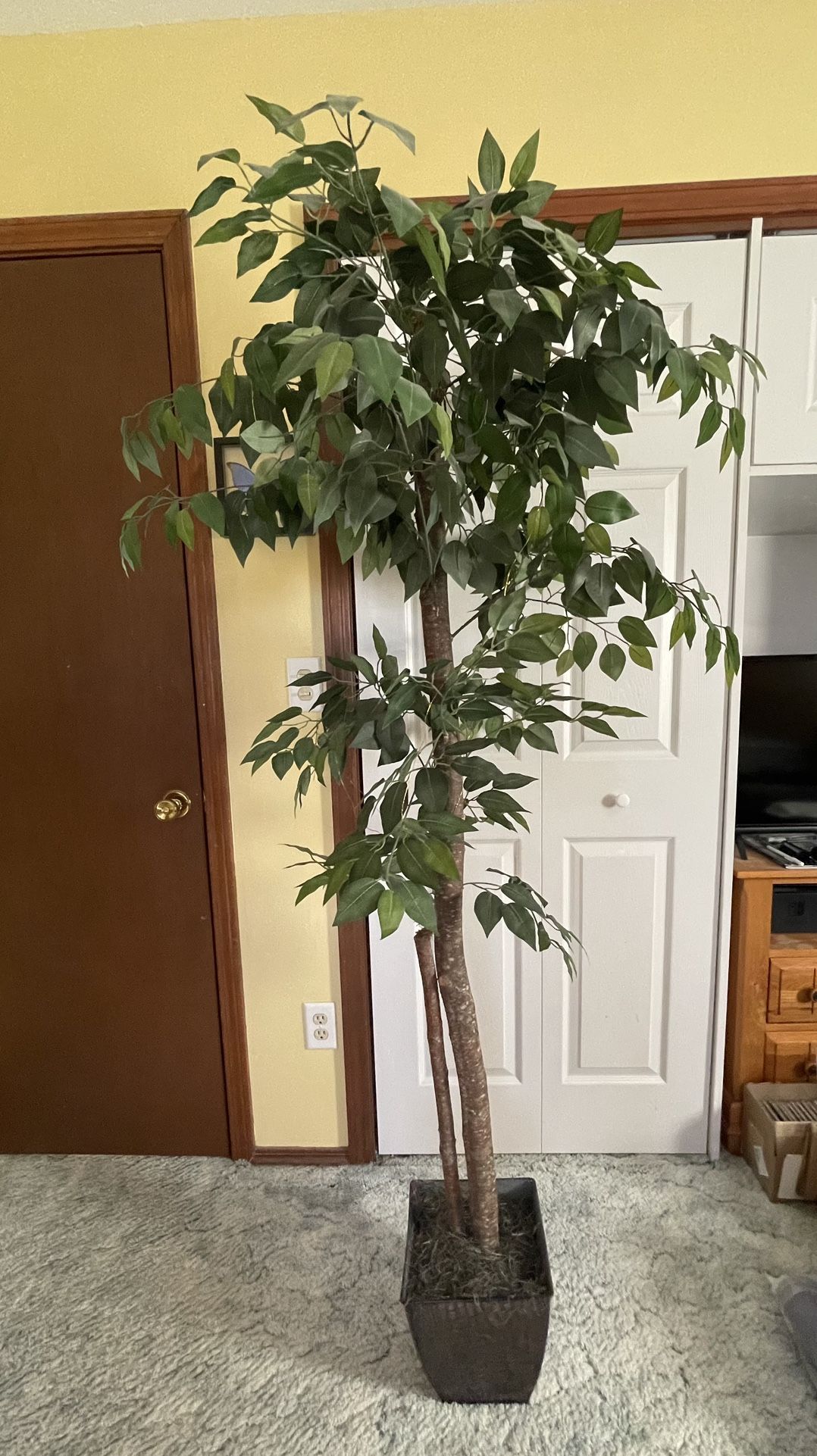 6' Artificial Ficus Tree 