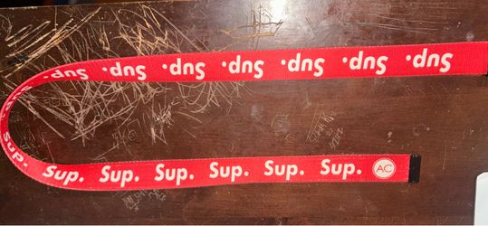 Belt