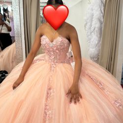 Sweet 15/16 Quinceanera Dress 