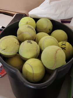 Free tennis balls