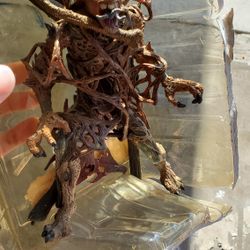 Action Figure Collectible