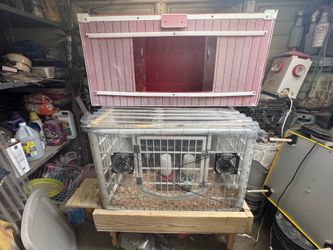 Brooder cage/ box for chicks