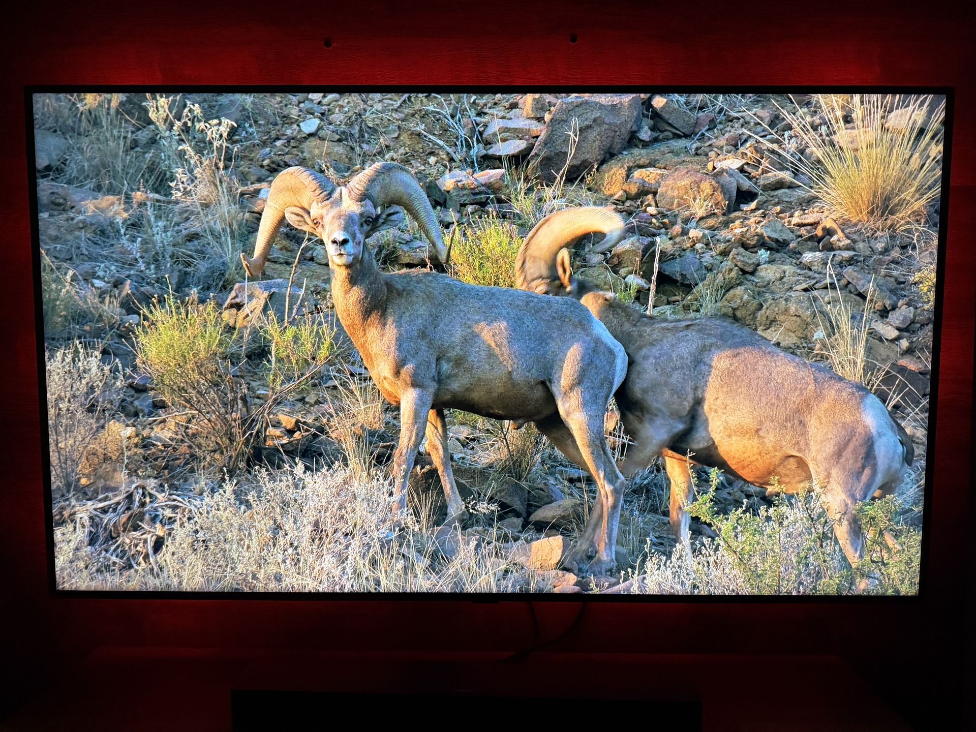 65" Samsung 4K Smart TV (UHD) - Excellent Condition