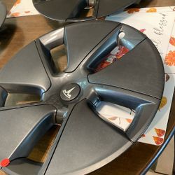 Tesla Weelcovers