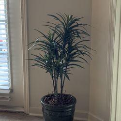 Artificial Plant in Decorative Green Pot 
