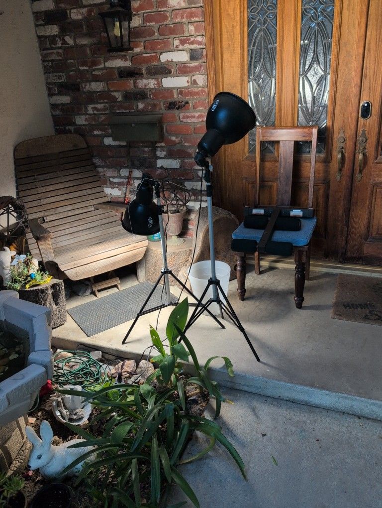 Jtl Studio Model Lights