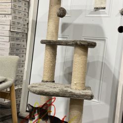 Free Cat Tree 