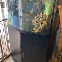 46 Bow Front Aquarium Fish Tank
