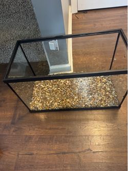 10 gallon aquarium