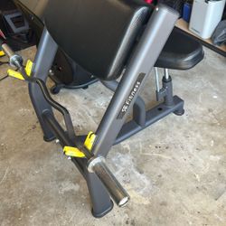 Preacher Curl Bench
