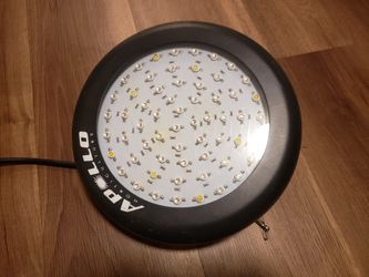 LED Grow Light