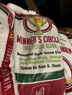 Winners circle fescue blend