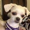 Chunki