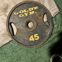 45lb Weight Plate (Gold’s Gym)