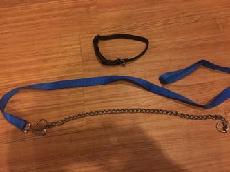 Leash and collars