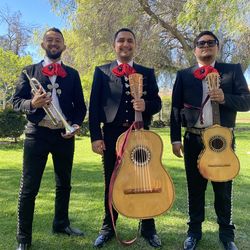Mariachi Guitarra