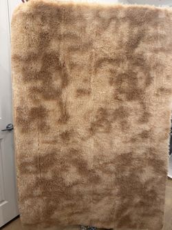 Brownish/beige Carpet