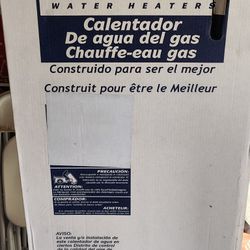 Propane Water Heater 