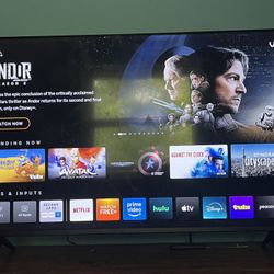 Vizio 47 Inch Tv