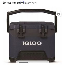 Igloo Cooler