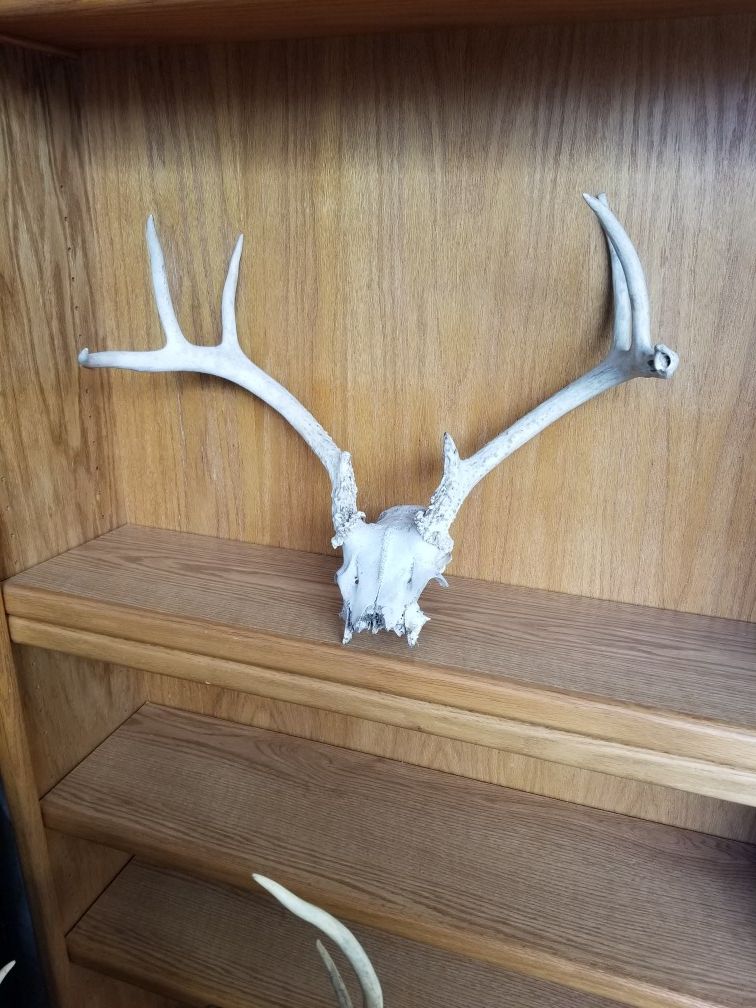 Deer atler