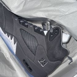 Air Jordan Wolf Grey 5s for Size 9.5 