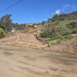 Fire Wood 1st Come 1st Served 4 Trunks As Well