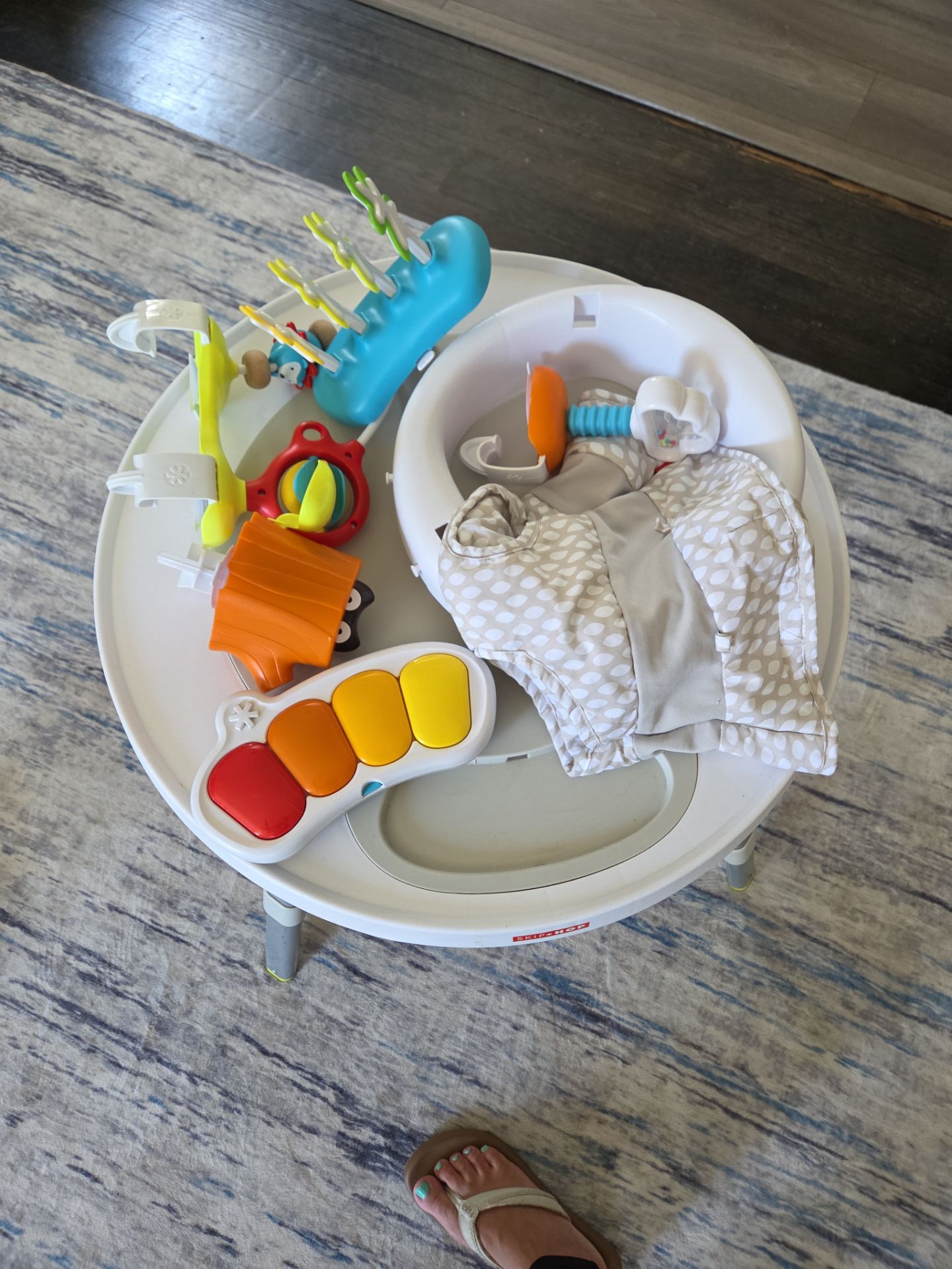 Skip Hop Baby Activity Center