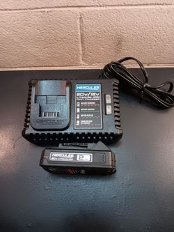 New Battery and charger