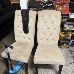 Dining Chairs 