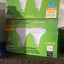 Light Bulbs