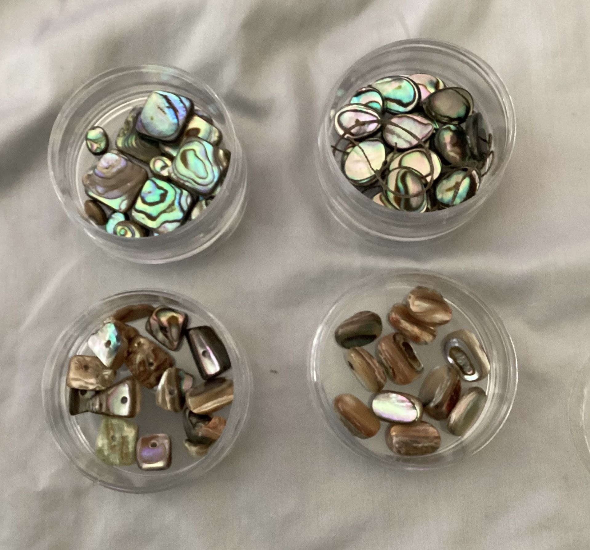 Jewelry Making Beads Abalone, Assorted Sizes in Plastic Storage Container