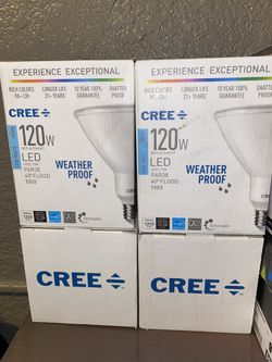 Light Bulbs
