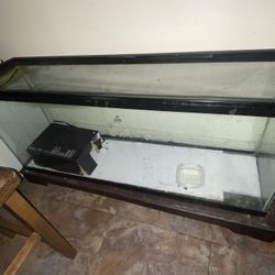 4ft Long Glass Tank ( Steal Deal)