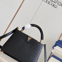 Capucines Delight Louis Vuitton Bag 
