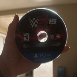 WWE 2k19 game