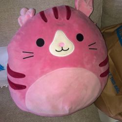 Kitty Squish Mellow