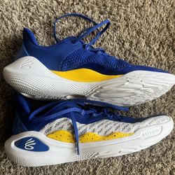 Curry 11 Dub Nation