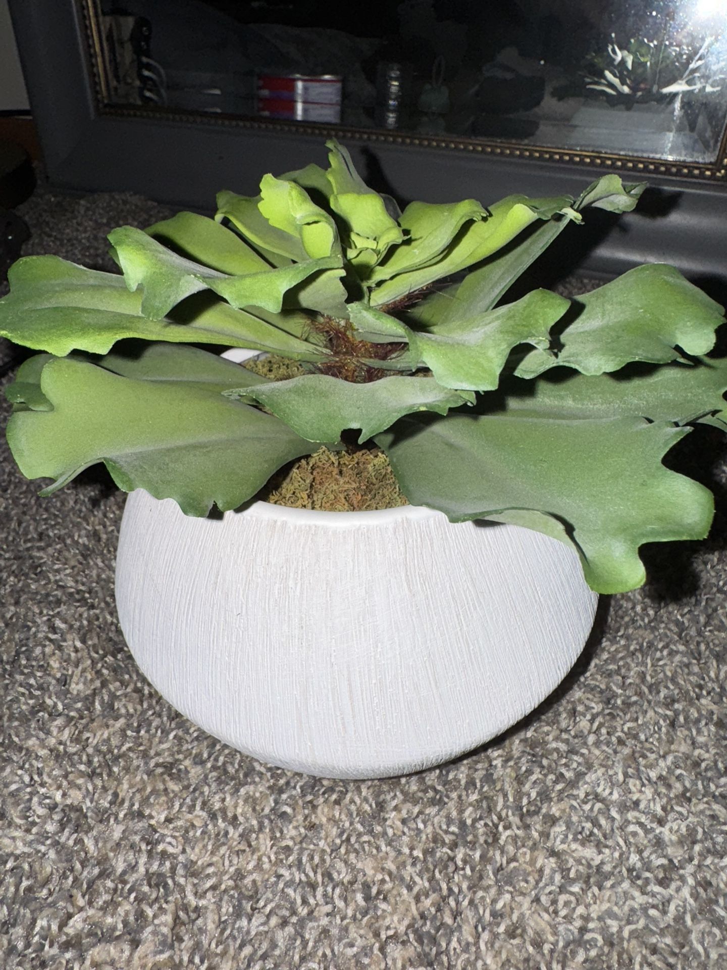 Fake Plant