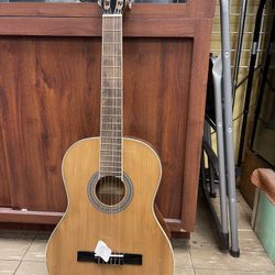 Lucida Acoustic Guitar 