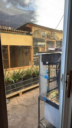 Bird Cage