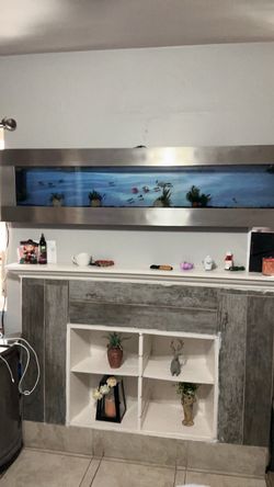 Large Wall-Mounted Fish Tank Aquarium