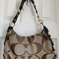 Coach Carly Hobo Bag