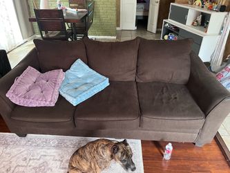 Brown Couches
