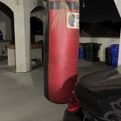 Prolast Heavy Bag 